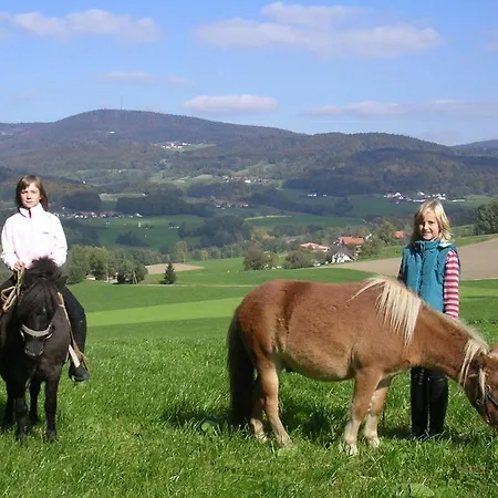Attractive In Bavaria *