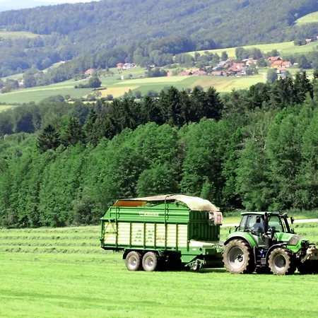 Attractive In Bavaria * Schollnach